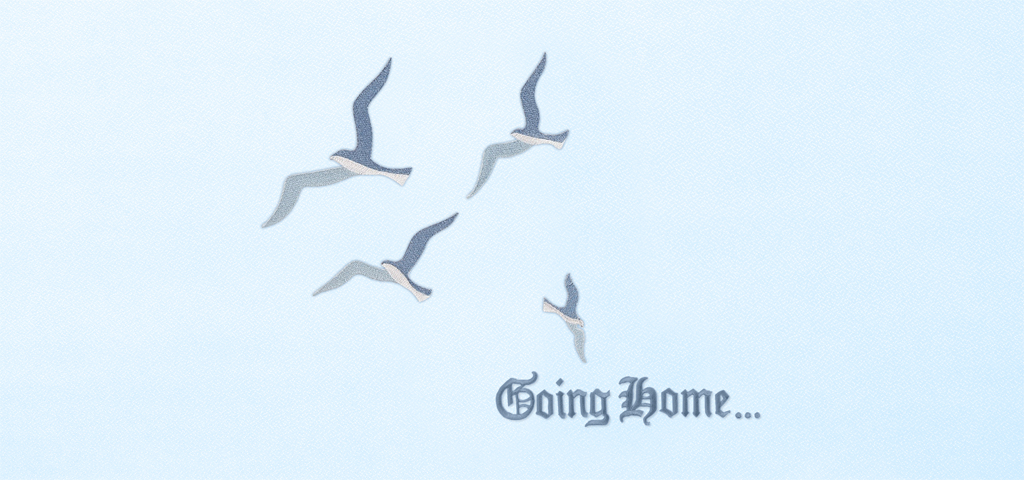P 566 BL BL Going Home NEW Birds Blue on Blue Faux